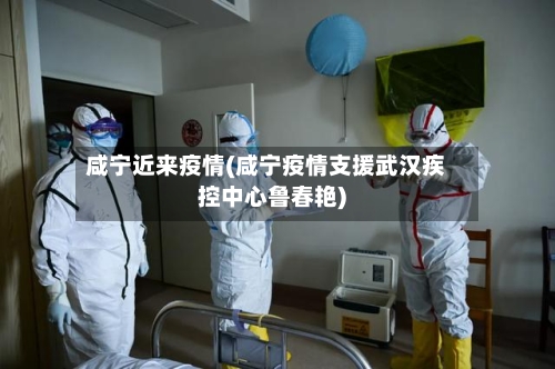 咸宁近来疫情(咸宁疫情支援武汉疾控中心鲁春艳)-第2张图片