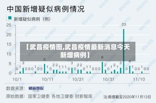 【武昌疫情图,武昌疫情最新消息今天新增病例】