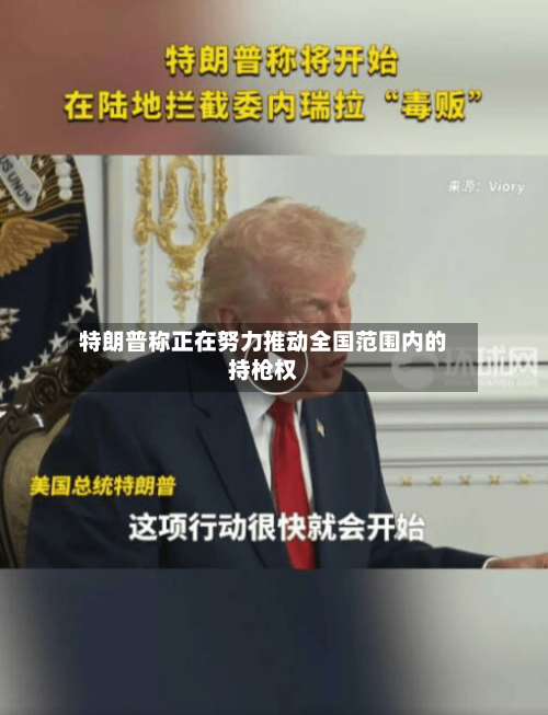 特朗普称正在努力推动全国范围内的持枪权