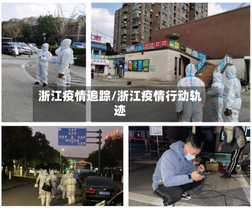 浙江疫情追踪/浙江疫情行动轨迹-第3张图片