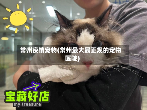 常州疫情宠物(常州最大最正规的宠物医院)-第2张图片