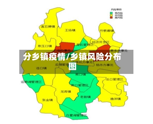 分乡镇疫情/乡镇风险分布图