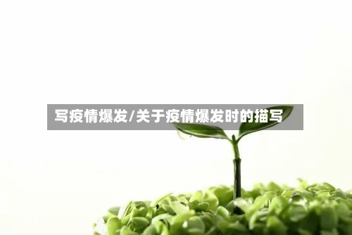 写疫情爆发/关于疫情爆发时的描写-第2张图片