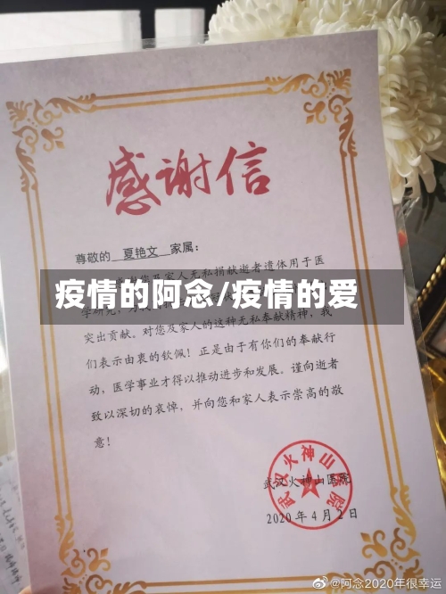 疫情的阿念/疫情的爱-第3张图片