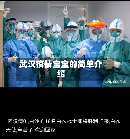 武汉疫情宝宝的简单介绍-第2张图片