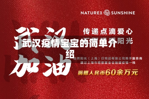 武汉疫情宝宝的简单介绍