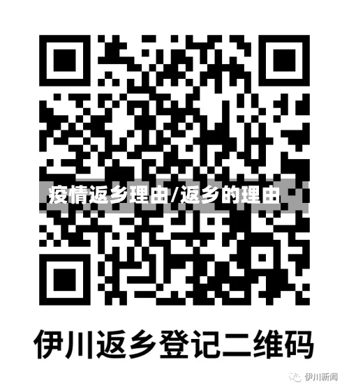 疫情返乡理由/返乡的理由
