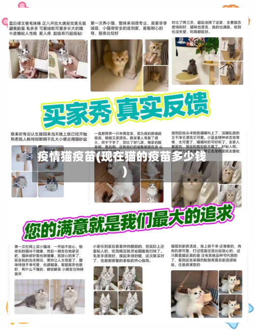 疫情猫疫苗(现在猫的疫苗多少钱)-第2张图片