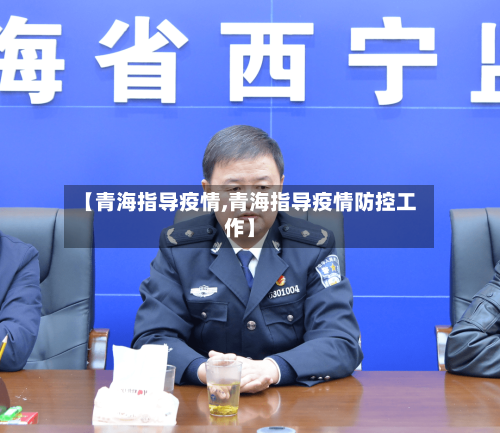 【青海指导疫情,青海指导疫情防控工作】-第2张图片