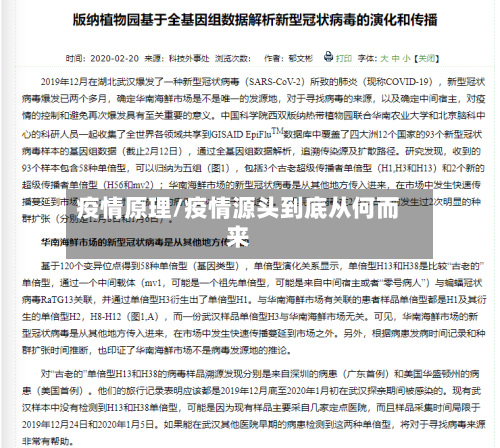 疫情原理/疫情源头到底从何而来-第2张图片