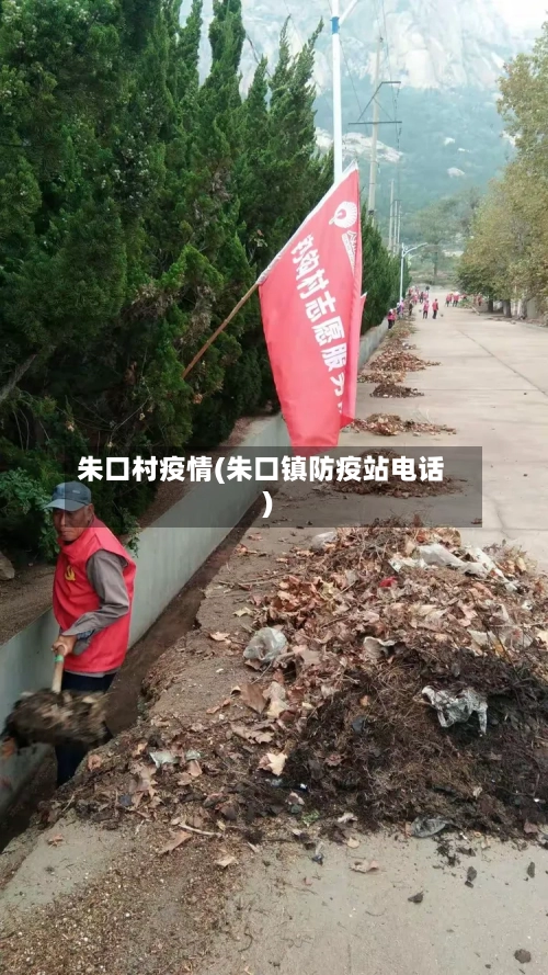 朱口村疫情(朱口镇防疫站电话)