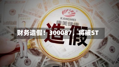 财务造假！300087，将被ST-第3张图片