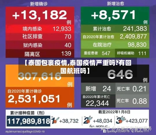 【泰国包裹疫情,泰国疫情严重吗?有回国航班吗】-第3张图片