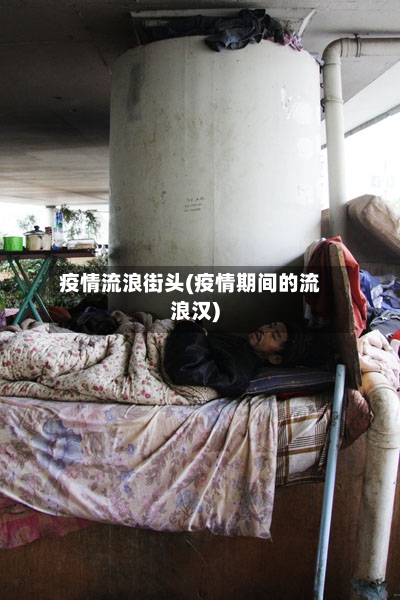 疫情流浪街头(疫情期间的流浪汉)-第2张图片