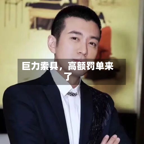 巨力索具，高额罚单来了-第3张图片