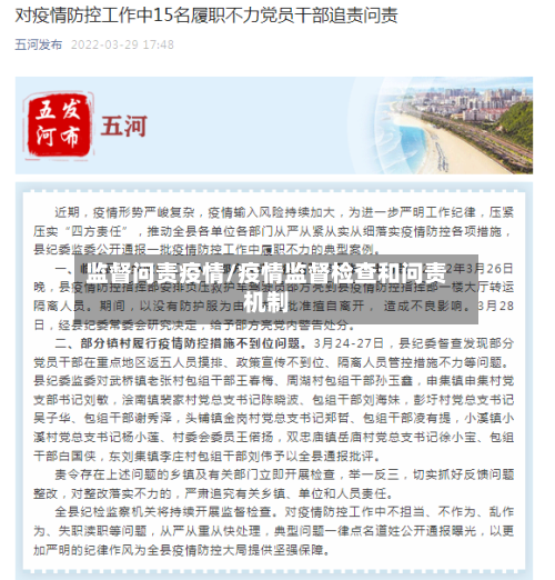 监督问责疫情/疫情监督检查和问责机制