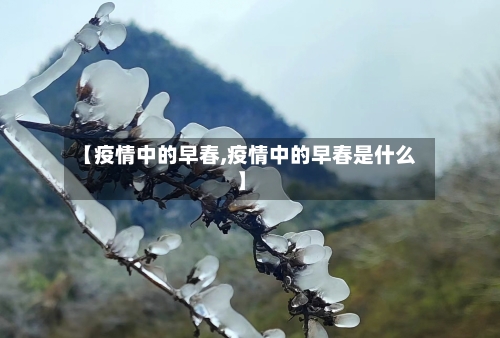 【疫情中的早春,疫情中的早春是什么】
