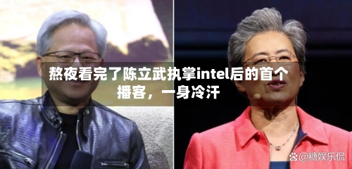 熬夜看完了陈立武执掌intel后的首个播客，一身冷汗-第2张图片