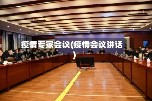 疫情专家会议(疫情会议讲话)-第2张图片