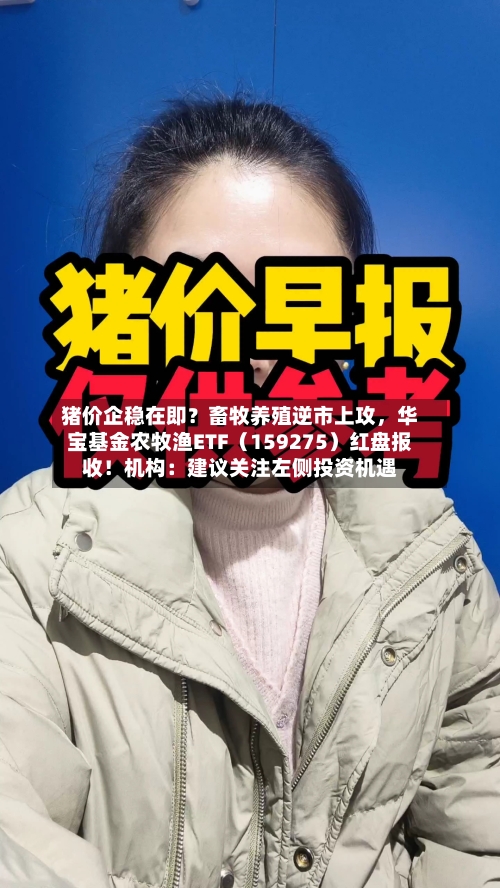 猪价企稳在即？畜牧养殖逆市上攻，华宝基金农牧渔ETF（159275）红盘报收！机构：建议关注左侧投资机遇-第2张图片