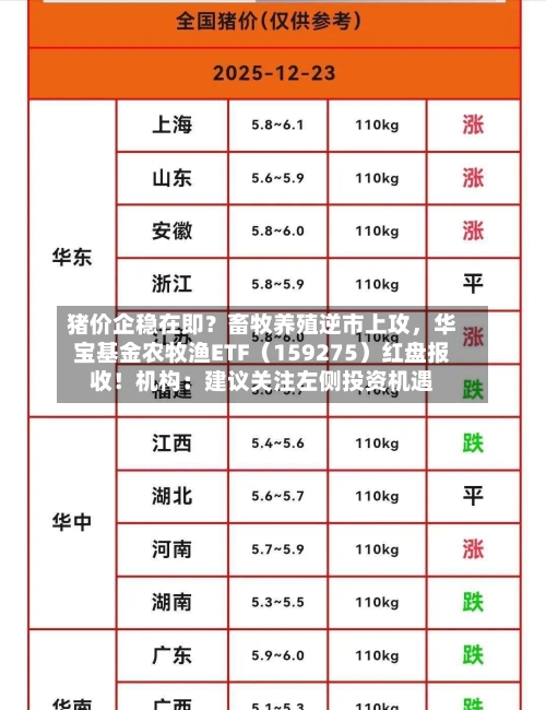 猪价企稳在即？畜牧养殖逆市上攻，华宝基金农牧渔ETF（159275）红盘报收！机构：建议关注左侧投资机遇-第3张图片