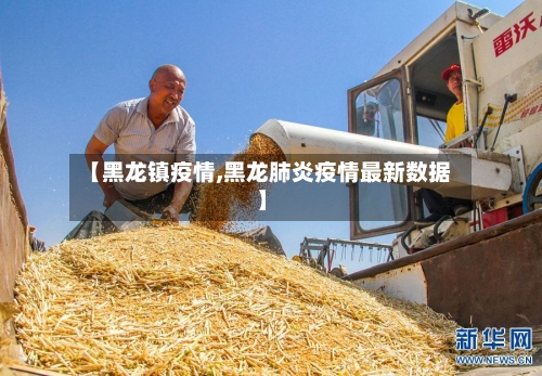 【黑龙镇疫情,黑龙肺炎疫情最新数据】-第3张图片