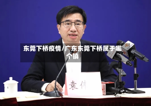 东莞下桥疫情/广东东莞下桥属于哪个镇-第2张图片