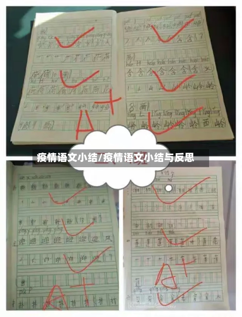 疫情语文小结/疫情语文小结与反思