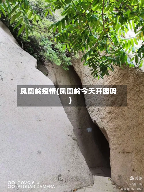 凤凰岭疫情(凤凰岭今天开园吗)-第2张图片