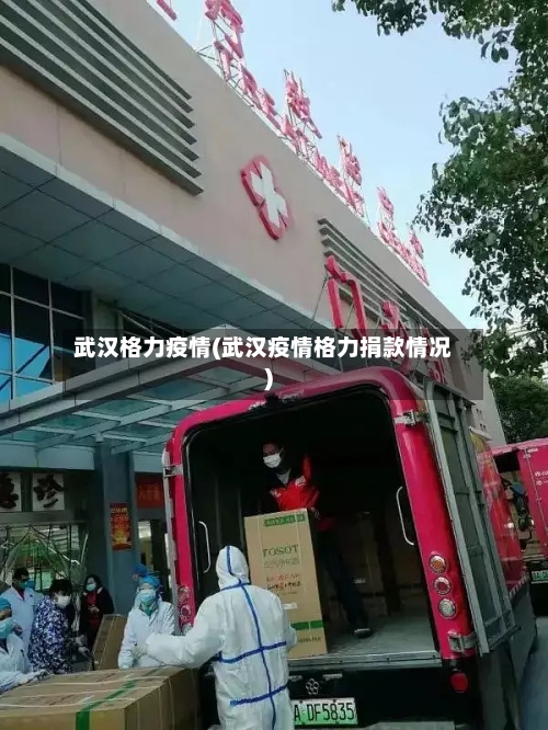 武汉格力疫情(武汉疫情格力捐款情况)-第2张图片