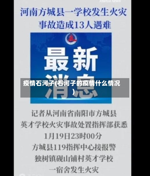 疫情石河子(石河子的疫情什么情况)