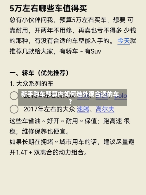 新手购车预算内如何选外观合适的车？-第2张图片