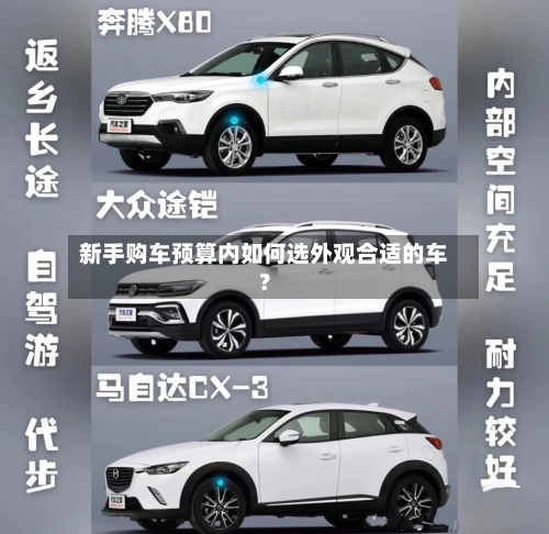 新手购车预算内如何选外观合适的车？
