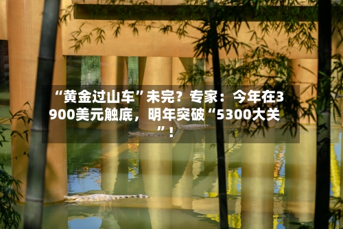 “黄金过山车”未完？专家：今年在3900美元触底	，明年突破“5300大关”！-第2张图片