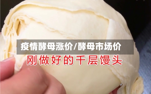 疫情酵母涨价/酵母市场价-第3张图片