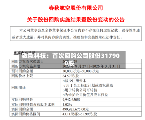 致欧科技：首次回购公司股份317900股-第3张图片