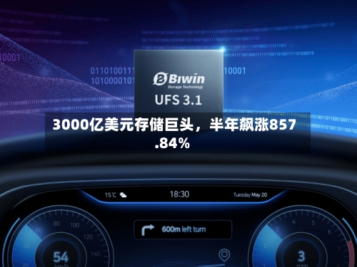 3000亿美元存储巨头	，半年飙涨857.84%-第2张图片