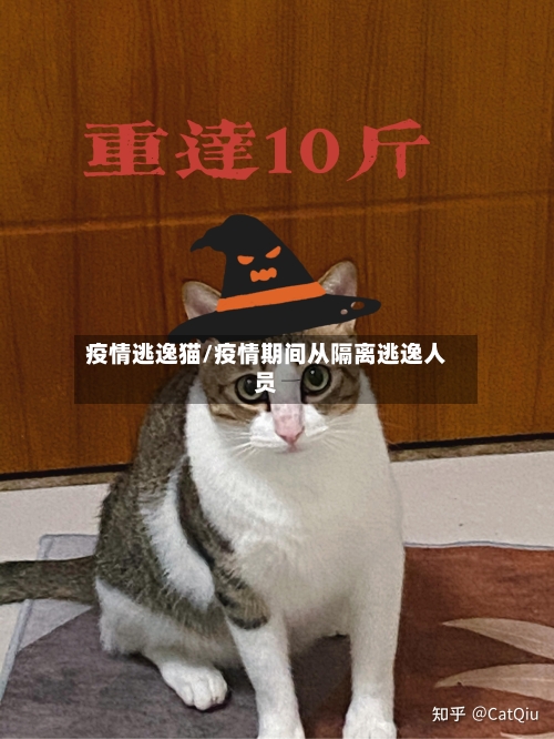 疫情逃逸猫/疫情期间从隔离逃逸人员
