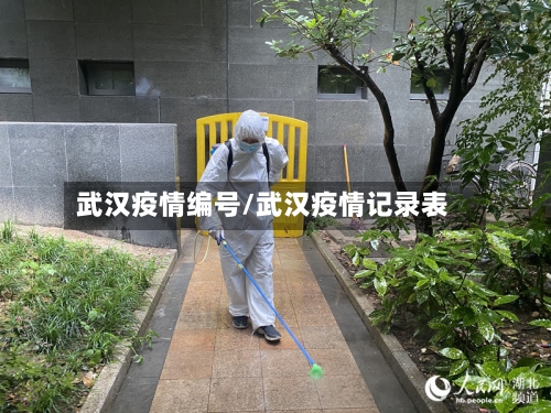 武汉疫情编号/武汉疫情记录表-第2张图片