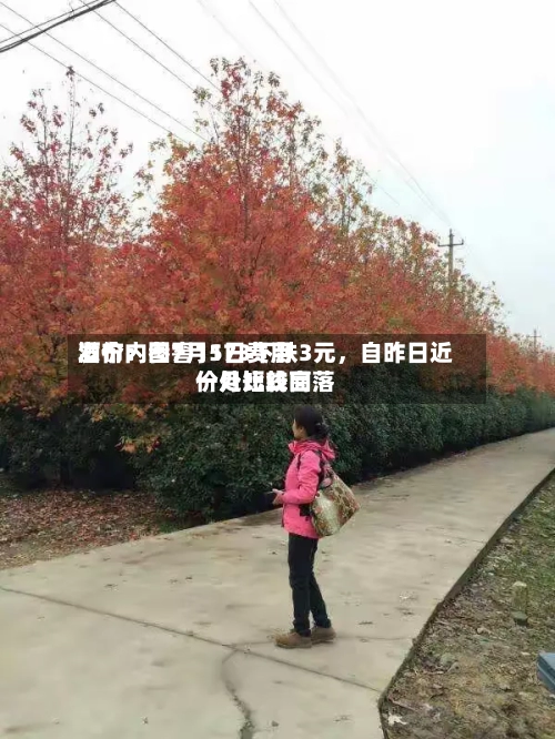 酒价内参7月1日费用发布：国窖1573下跌3元，自昨日近一月比较高价处短线回落-第3张图片