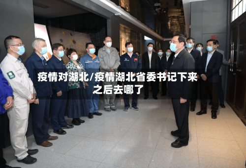 疫情对湖北/疫情湖北省委书记下来之后去哪了-第2张图片