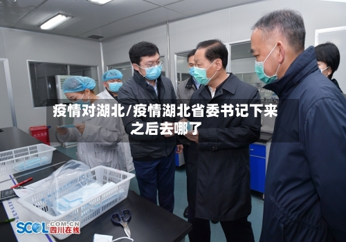 疫情对湖北/疫情湖北省委书记下来之后去哪了-第3张图片