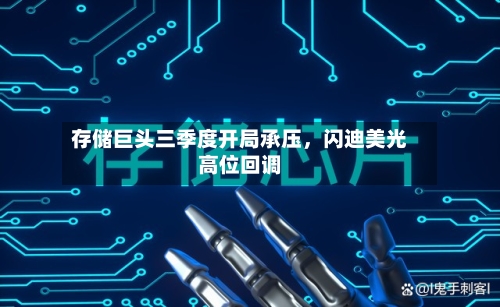 存储巨头三季度开局承压	，闪迪美光高位回调-第2张图片