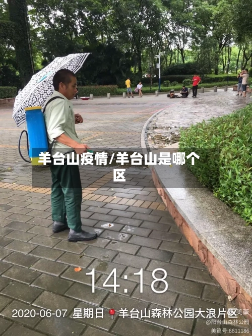 羊台山疫情/羊台山是哪个区-第2张图片