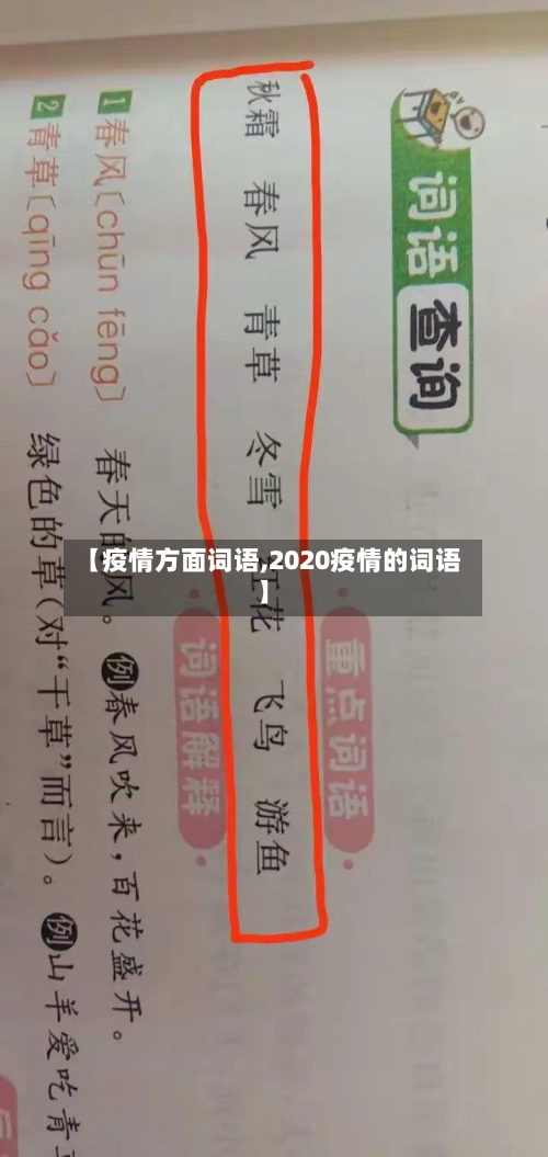 【疫情方面词语,2020疫情的词语】