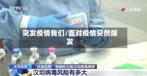 突发疫情我们/面对疫情突然爆发