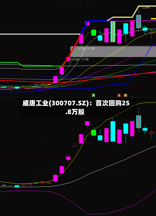 威唐工业(300707.SZ)：首次回购25.8万股