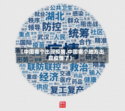【中国哪个出现疫情,中国哪个地方出现疫情了】-第2张图片