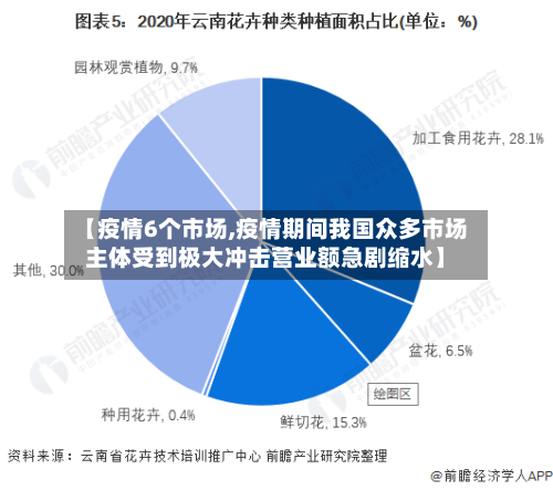 【疫情6个市场,疫情期间我国众多市场主体受到极大冲击营业额急剧缩水】-第2张图片