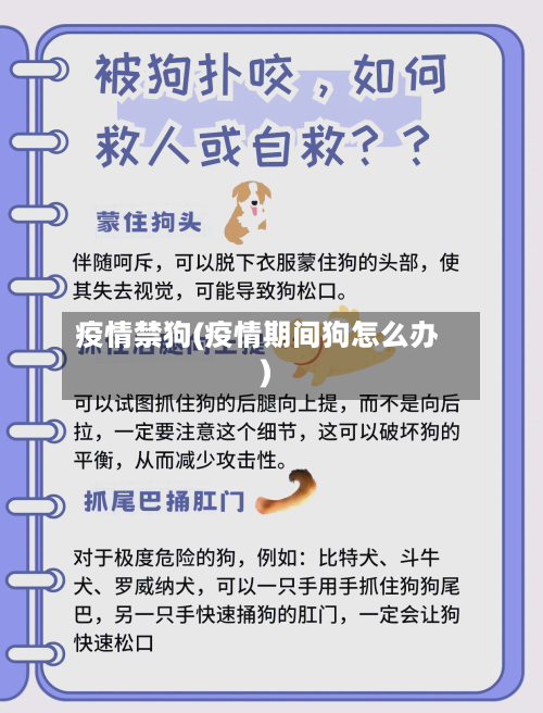 疫情禁狗(疫情期间狗怎么办)-第3张图片